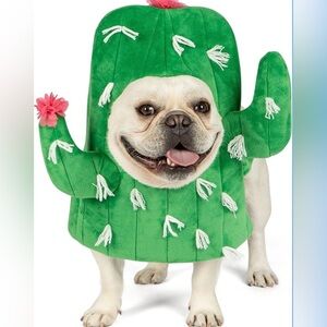 🌵 Cyeollo Cactus Dog Costume – Medium – Soft, Funny, Machine Washable 🌵